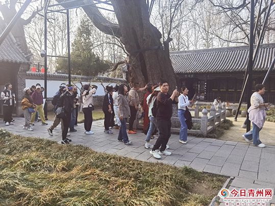 威海百家旅行社青州考察